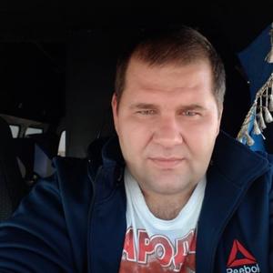 Дмитрий, 41 год, Михайловск