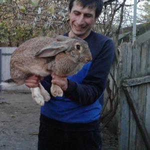 Парни в Лобне: Рагим Гасанбеков, 37 - ищет девушку из Лобни