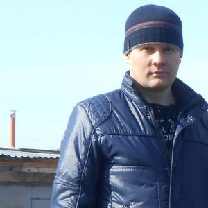 Дмитрий Шевнин, 39 лет, Киров