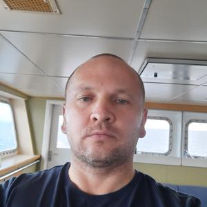 Vladimir, 42 года, Калининград