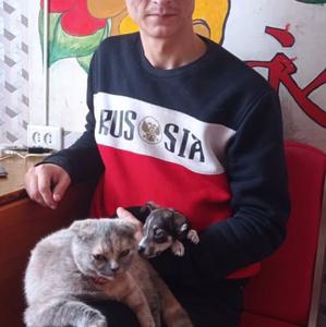 Парни в Перми: Владимир, 37 - ищет девушку из Перми