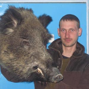 Николай Скрипко, 45 лет, Минск