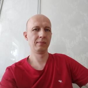 Roman, 38 лет, Москва