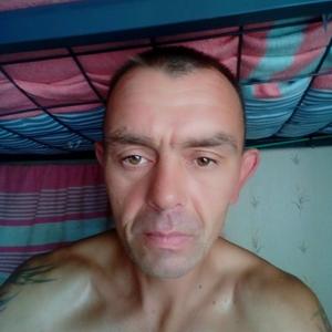 Александр Храмцов, 46 лет, Владивосток