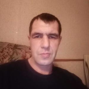 Сергей, 43 года, Алапаевск