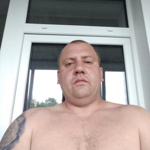Николай, 42 года, Брянск