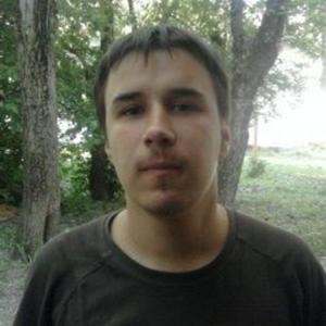 Андрей, 33 года, Электросталь