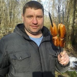 Алексей, 47 лет, Гатчина
