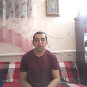 Парни в Камышине: Сергей, 48 - ищет девушку из Камышина