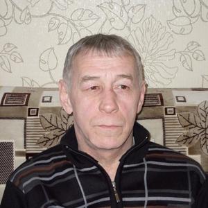 Александр Колчерин, 65 лет, Гороховец