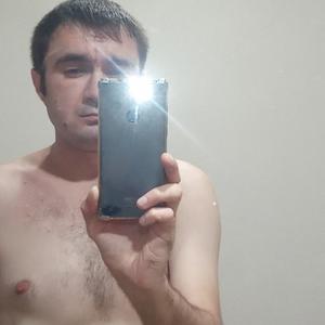Роман Комиссаров, 37 лет, Таганрог