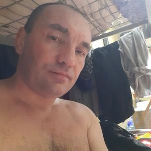 Владимир, 47 лет, Свободный