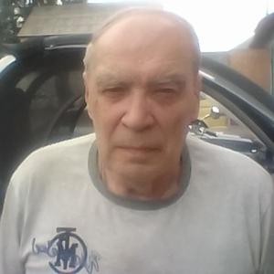 Евгений, 72 года, Москва