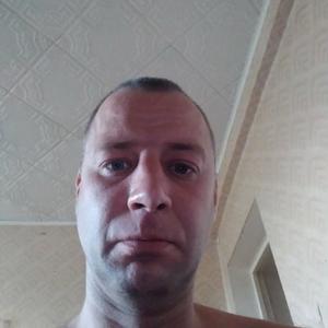 Антон, 43 года, Зеленогорск
