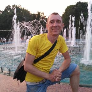Дима, 54 года, Тула