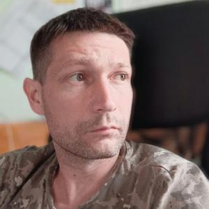 Roman, 36 лет, Краснодар