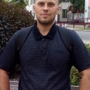 Андрей, 35 лет, Светлогорск
