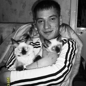 Парни в Гатчине: Сергей, 33 - ищет девушку из Гатчины