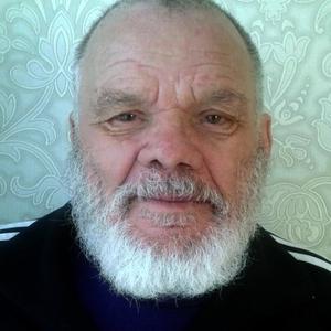 Александр Гаранин, 84 года, Москва
