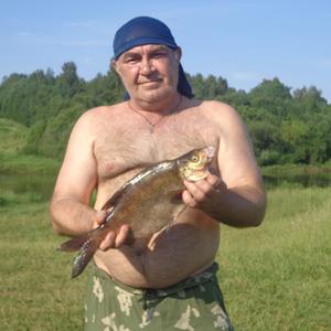 Виталий, 63 года, Торжок
