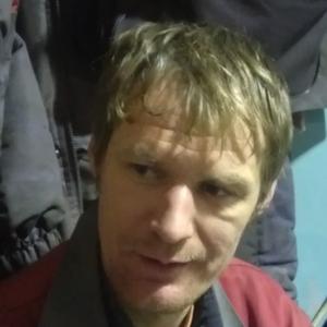 Андрей, 43 года, Рябово