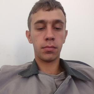 Константин Ашуев, 33 года, Ташкент
