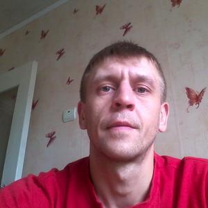 Aleksei Gorodnichin, 43 года, Череповец