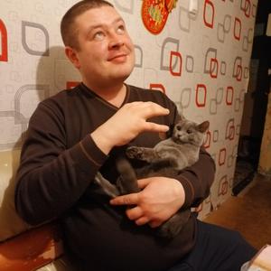 Денис, 34 года, Архангельск