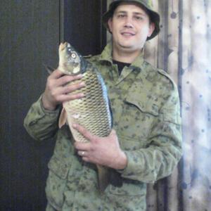 Сергей, 37 лет, Воронеж