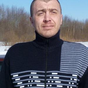 Николай, 46 лет, Вологда