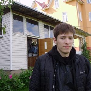 Андрей, 29 лет, Крестцы