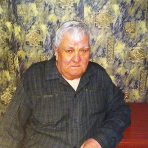 Парни в Нытве: Ivan Solovev, 82 - ищет девушку из Нытвы