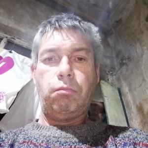 Виктор, 49 лет, Шадринск