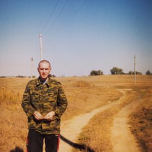 Дмитрий Силкин, 31 год, Ростов-на-Дону
