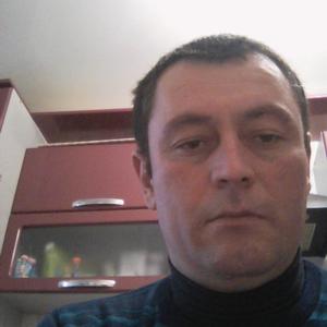 Олег Олег, 44 года, Тула