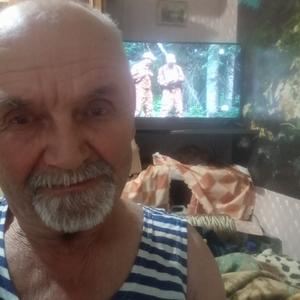 Виктор, 71 год, Новосибирск