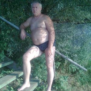 Парни в Электросталь: Вячеслав, 64 - ищет девушку из Электросталь