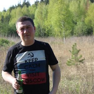 Андрей, 43 года, Раменское