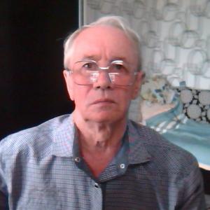 Vasilij Kirilenko, 78 лет, Вожега