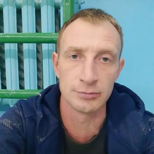 Сергей, 38 лет, Электросталь
