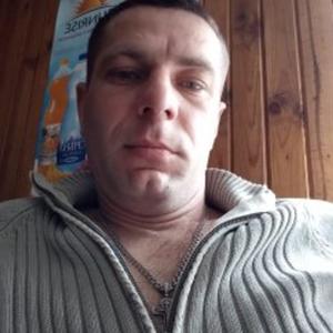 Дмитрий, 42 года, Голицыно