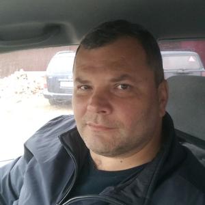 Парни в Димитровграде: Александр, 48 - ищет девушку из Димитровграда