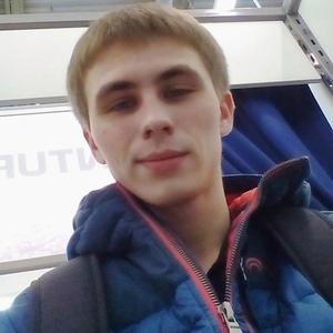 Andrej, 30 лет, Витебск