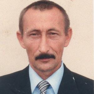 Владимир, 62 года, Самара