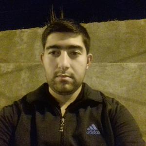 Husik Khachikyan, 29 лет, Ереван