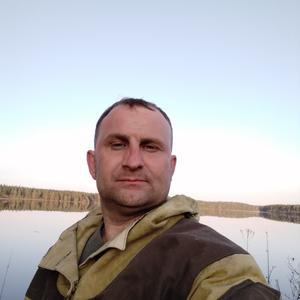 Парни в Нижняя Тура: Алексей Чесноков, 43 - ищет девушку из Нижняя Тура