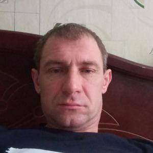 Серафим, 42 года, Курск