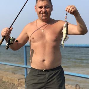 Денис, 44 года, Ижевск