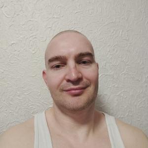 Николай, 44 года, Ефремов