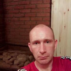 Андрей, 40 лет, Томск